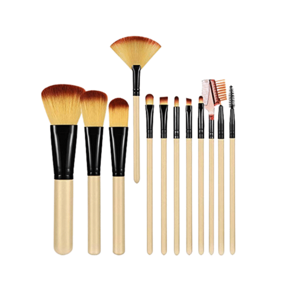 SET DE BROCHAS PROFESIONAL COLORES