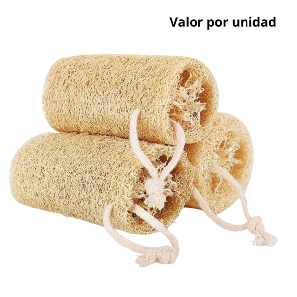 LUFA EXFOLIADORA ESPALDA COD-590