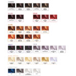 TINTURA EARTHIA COLOR BBCOS 100ML - Imagen 3