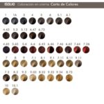 TINTURA SACHET ISSUE 47GR - Imagen 2