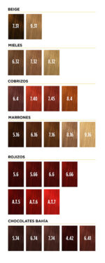 TINTURA COLORKEY GOLD SILKEY 60GR - Imagen 3