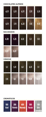 TINTURA COLORKEY GOLD SILKEY 60GR - Imagen 2