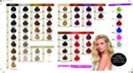 TINTURA OTOWIL 50G. - Imagen 2
