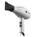 SECADOR FOX ION TC PRATA 2000W 220V TAIFF
